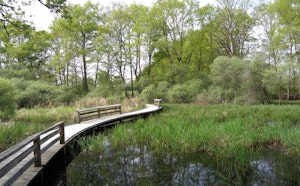 Étang des Landes