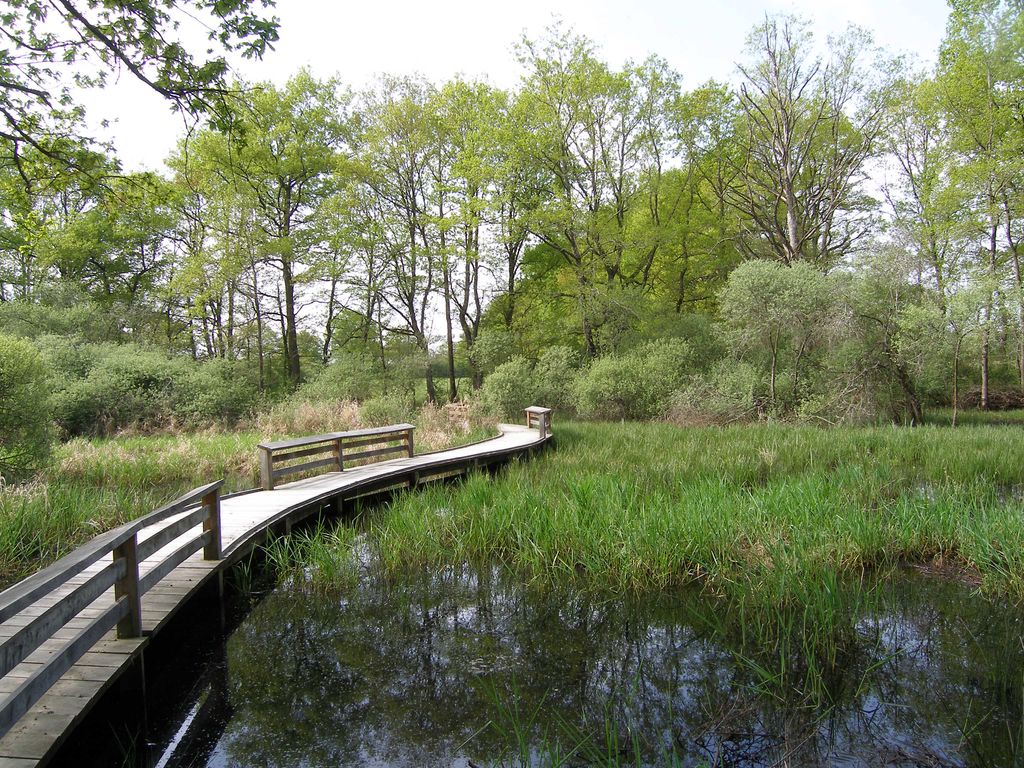 Étang des Landes