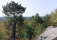 Gorges du Houx