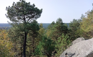 Gorges du Houx