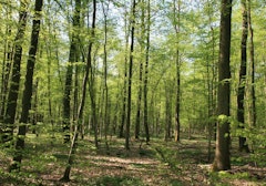 Circuit de la Schierlach