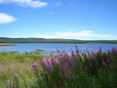Lac de Charpal