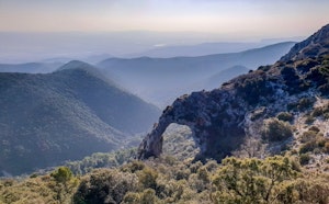 Portalas and Forêt des Cèdres