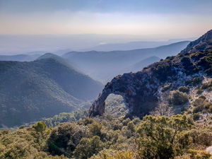 Portalas et Forêt des Cèdres