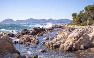 Île Saint-Honorat