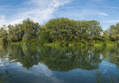 Île du Rohrschollen
