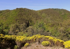 Gorges de la Daronne