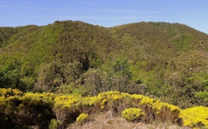 Gorges de la Daronne
