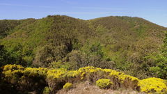 Gorges de la Daronne