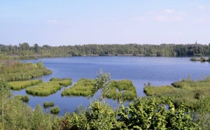 Parc des Argales