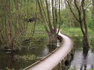 Bois de la Gîte