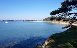 Île d'Arz