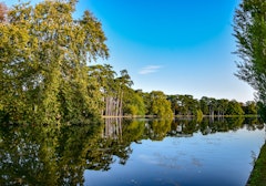 Bois de Boulogne