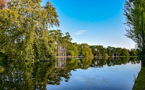 Bois de Boulogne