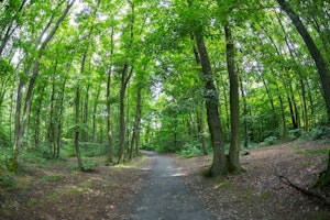 Bois de Serres