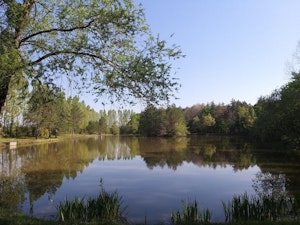 Étangs de Rougeou