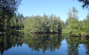 L'Arche de la Nature