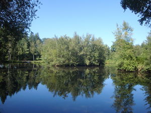 L'Arche de la Nature