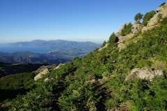 Monte Astu