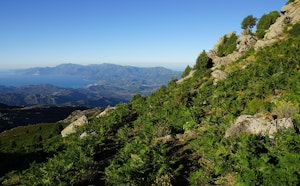 Monte Astu