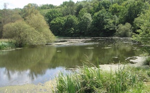 Vallée du Terrouin