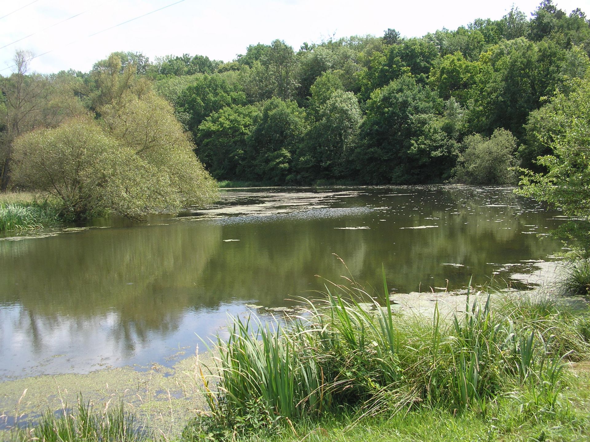 Vallée du Terrouin