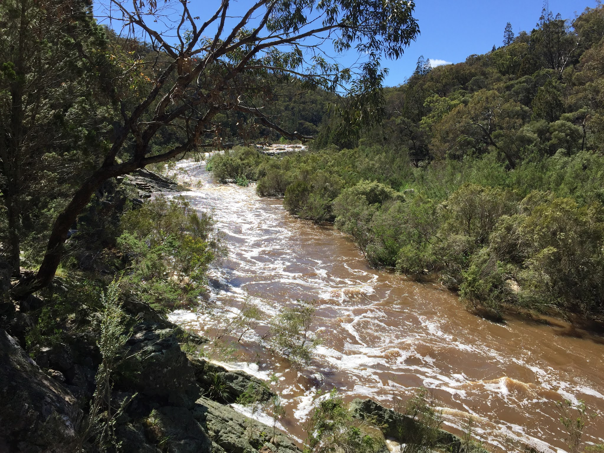 Molonglo Gorge Trail