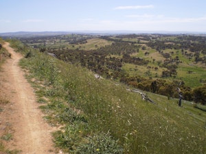 One Tree Hill via Canberra Centenary Trail
