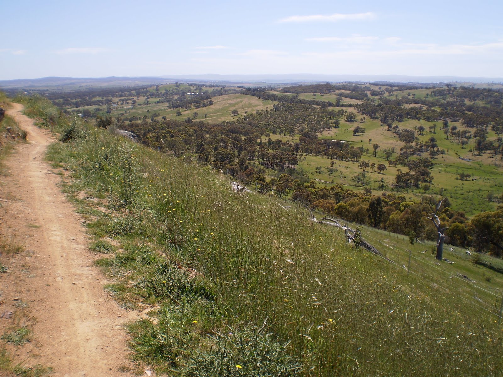One Tree Hill via Canberra Centenary Trail