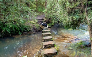Bidjigal Reserve