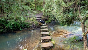 Bidjigal Reserve 