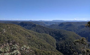 Blue Gum Swamp and Shaws Ridge Trail Loop