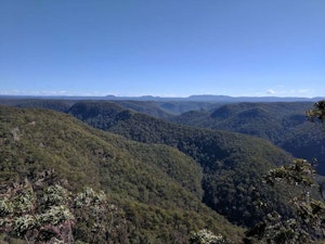 Blue Gum Swamp and Shaws Ridge Trail Loop