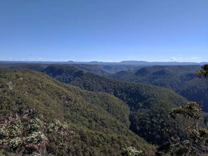 Blue Gum Swamp and Shaws Ridge Trail Loop