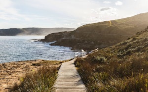 Bouddi Coastal Walk