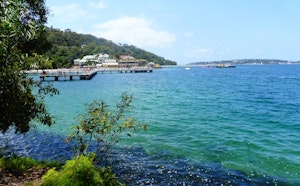 Bradleys Head to Chowder Bay Walk