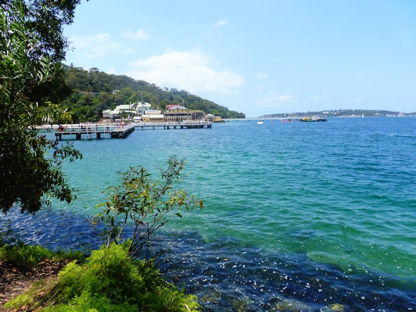 Bradleys Head to Chowder Bay Walk Hika Trail