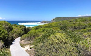 Bundeena to Big Marley and Little Marley Beaches