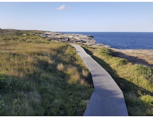 Cape Baily Track