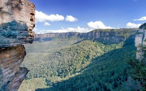 Dardanelles Pass Loop Walking Track