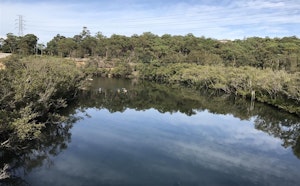Fairyland Loop Track