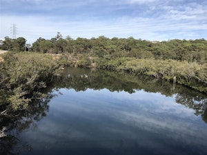 Fairyland Loop Track