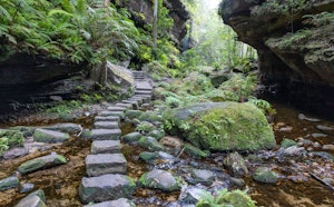 Grand Canyon Track