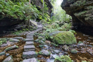 Grand Canyon Track