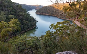Great North Walk dans le Ku-ring-gai Chase National Park