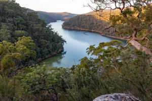 Great North Walk dans le Ku-ring-gai Chase National Park