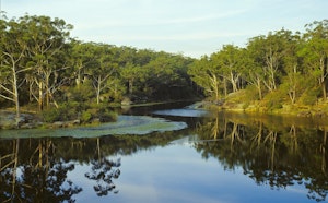 Lake Parramatta