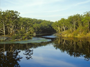 Lake Parramatta