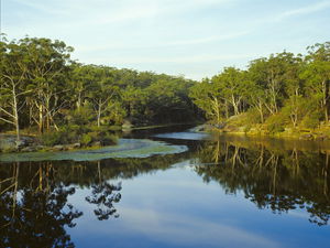 Lake Parramatta