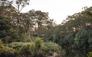 Lane Cove via Riverside Walk